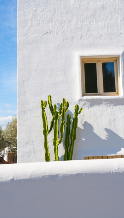 esterfno di casa mediterranea bianca con cactus verde